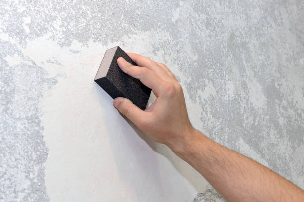 Best Airborne Mold Testing  in Montvale, NJ