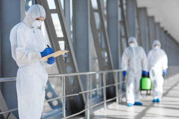 Best Attic Mold Removal  in Montvale, NJ