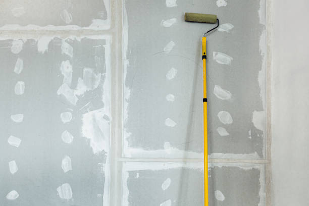 Trusted Montvale, NJ Mold Removal Experts