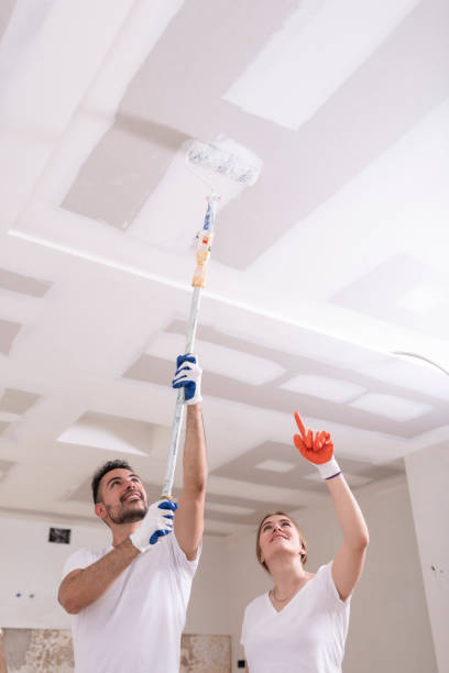 Best Post-Construction Mold Inspection  in Montvale, NJ