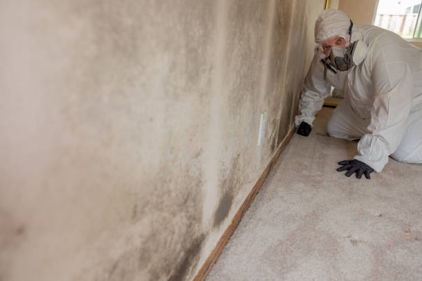 Best Air Quality Testing for Mold Spores  in Montvale, NJ
