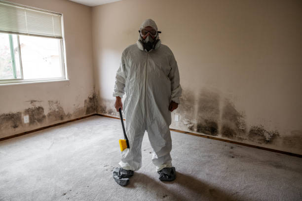 Best Forensic Mold Investigation  in Montvale, NJ