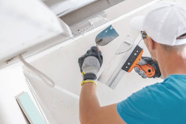 Best Mold Remediation for Healthcare Facilities  in Montvale, NJ